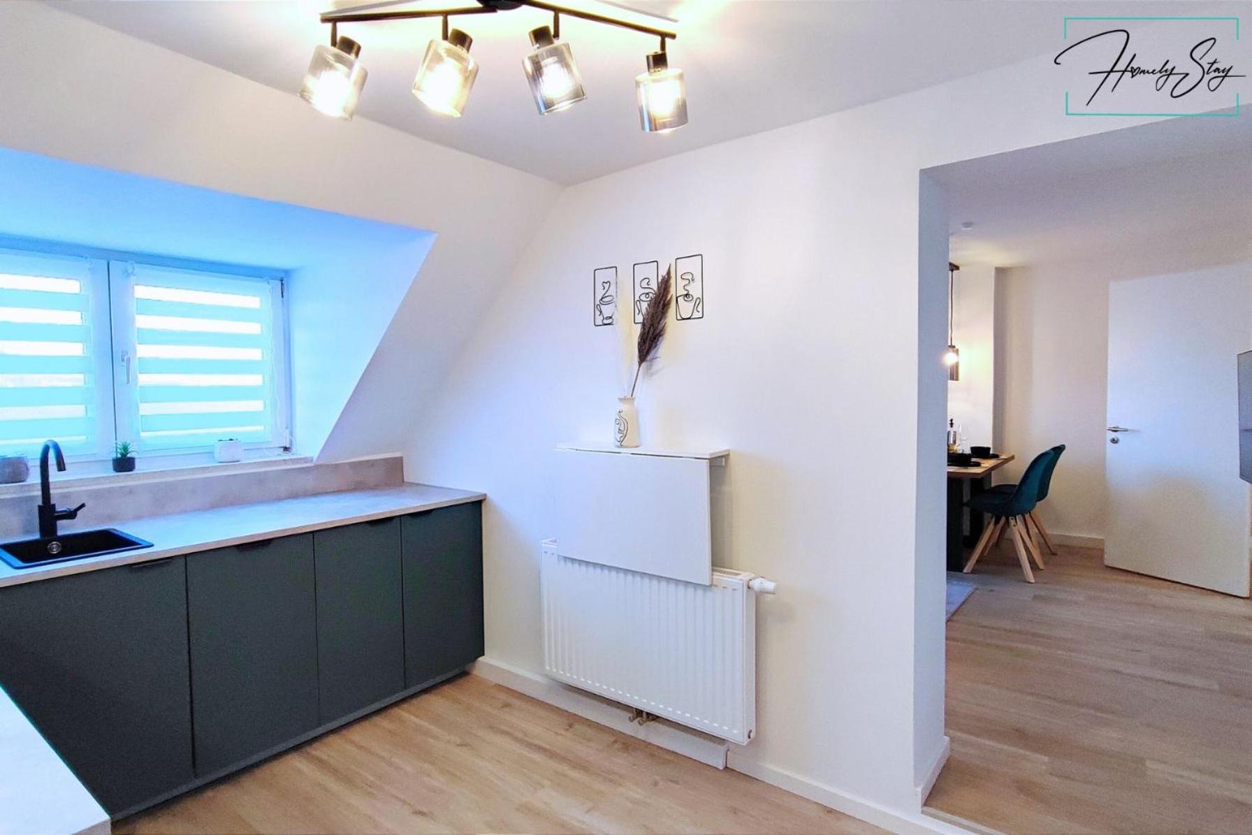 Homely - Urban Oasis